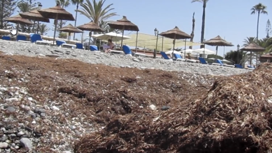 OSP critica el estado de las playas de San Pedro en pleno verano