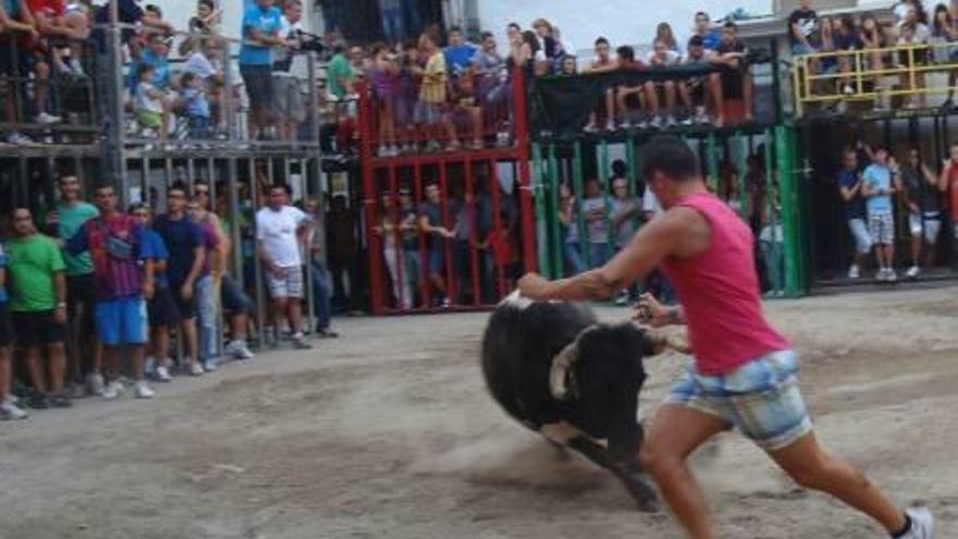 Las tardes de vacas en la plaza son sinónimo de fiesta.