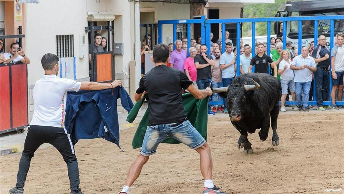 El sector de reses bravas de Castellón exige diálogo y ayudas a Diputación