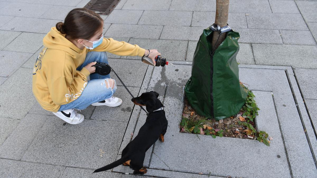 Una joven lava el lugar donde orinó su perro.