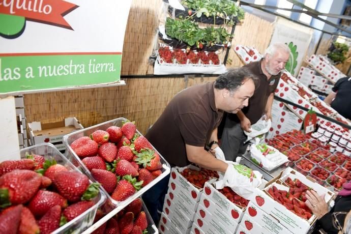 GRAN CANARIA 29-04-2018   VALSEQUILLO.  Feria de ...