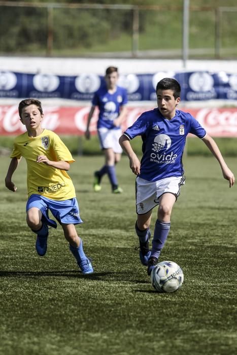 Oviedo Cup 2017: todas las imágenes