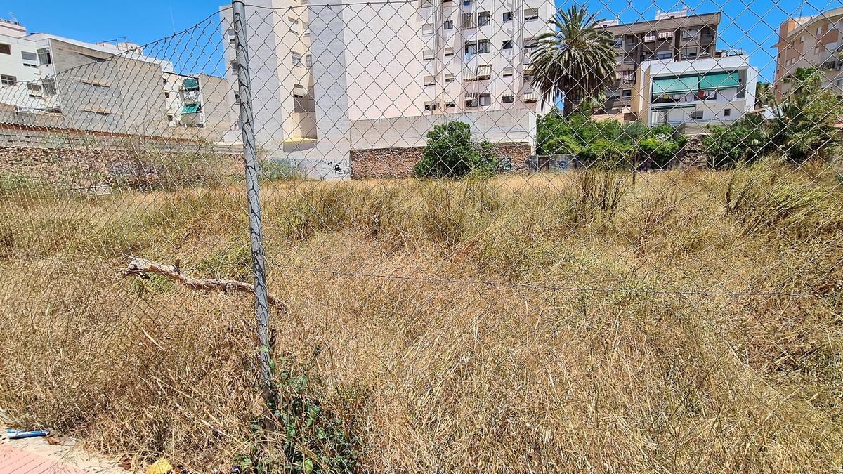 Algunos solares están vallados, pero la vegetación crece.