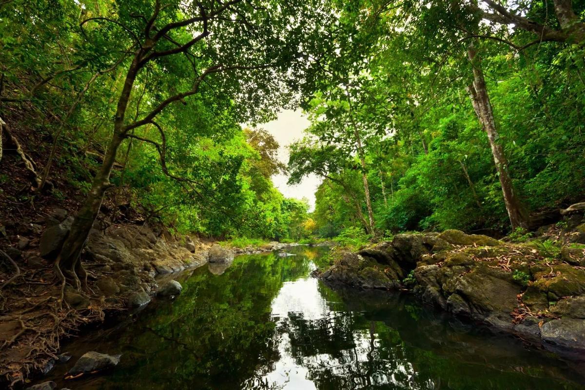 La península de Nicoya es una de las cinco Zonas Azules reconocidas del planeta.