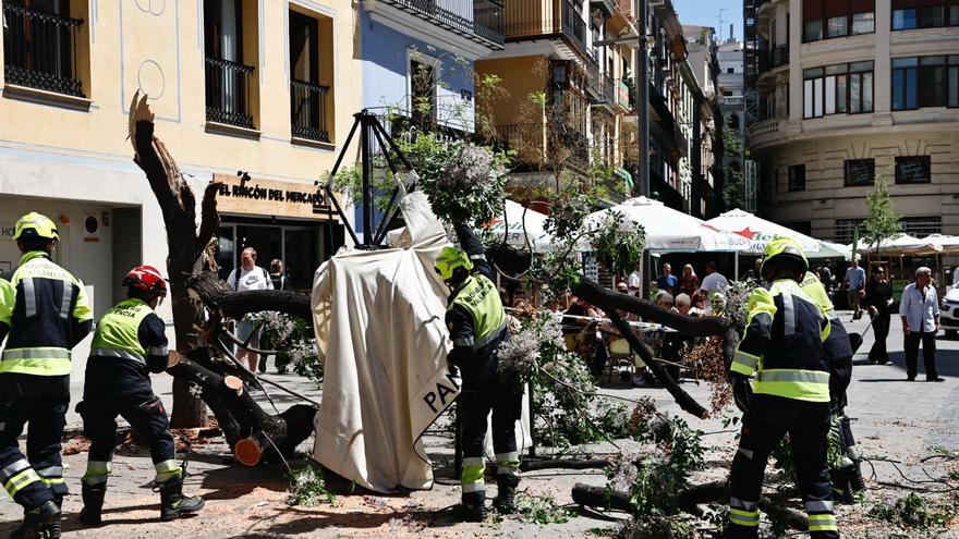 Tres heridas tras la caída de un árbol en la Plaza del Mercat de València