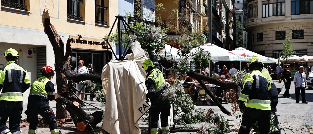 Cae un árbol en la Plaza del Mercat y deja un herido