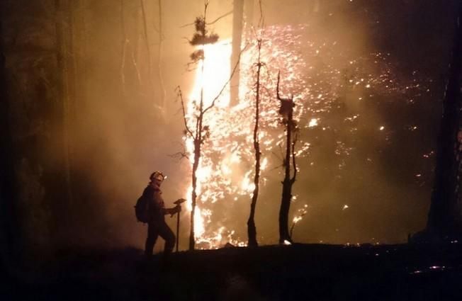 EL FUEGO DE LA PALMA NO HA LLEGADO A LAS CASAS ...