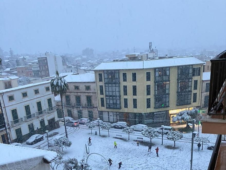 Weiße Überraschung mitten in Felanitx auf Mallorca