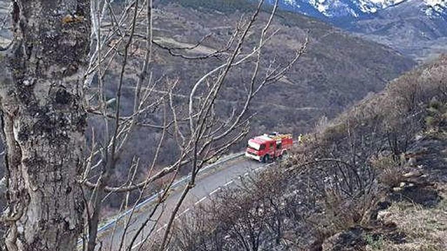 Cremen 1,2 hectàrees de matolls a Bellver