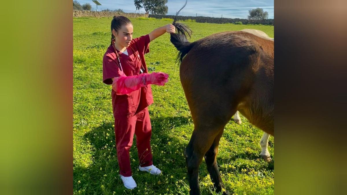 Isabel Guzmán, alumna del ciclo de Ganadería y Asistencia en Sanidad Animal en el IES Los Pedroches.