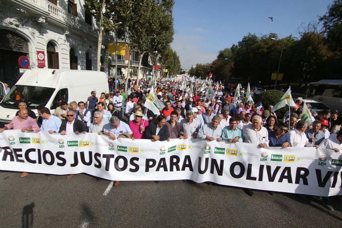 Córdoba se suma a la gran manifestación del olivar en Madrid