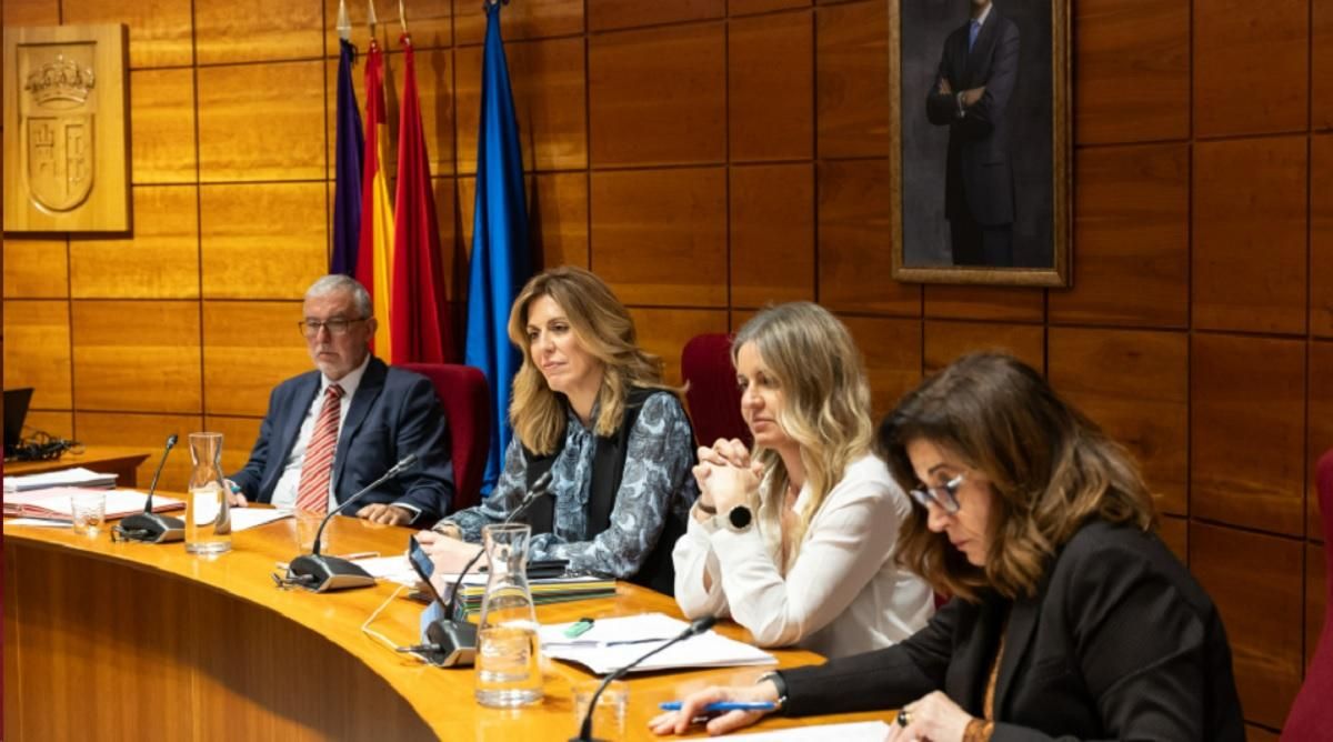 Los nuevos presupuestos de Pozuelo de Alarcón contaron con el apoyo del PP, mientras que PSOE, Vox y Somos Pozuelo votaron en contra.