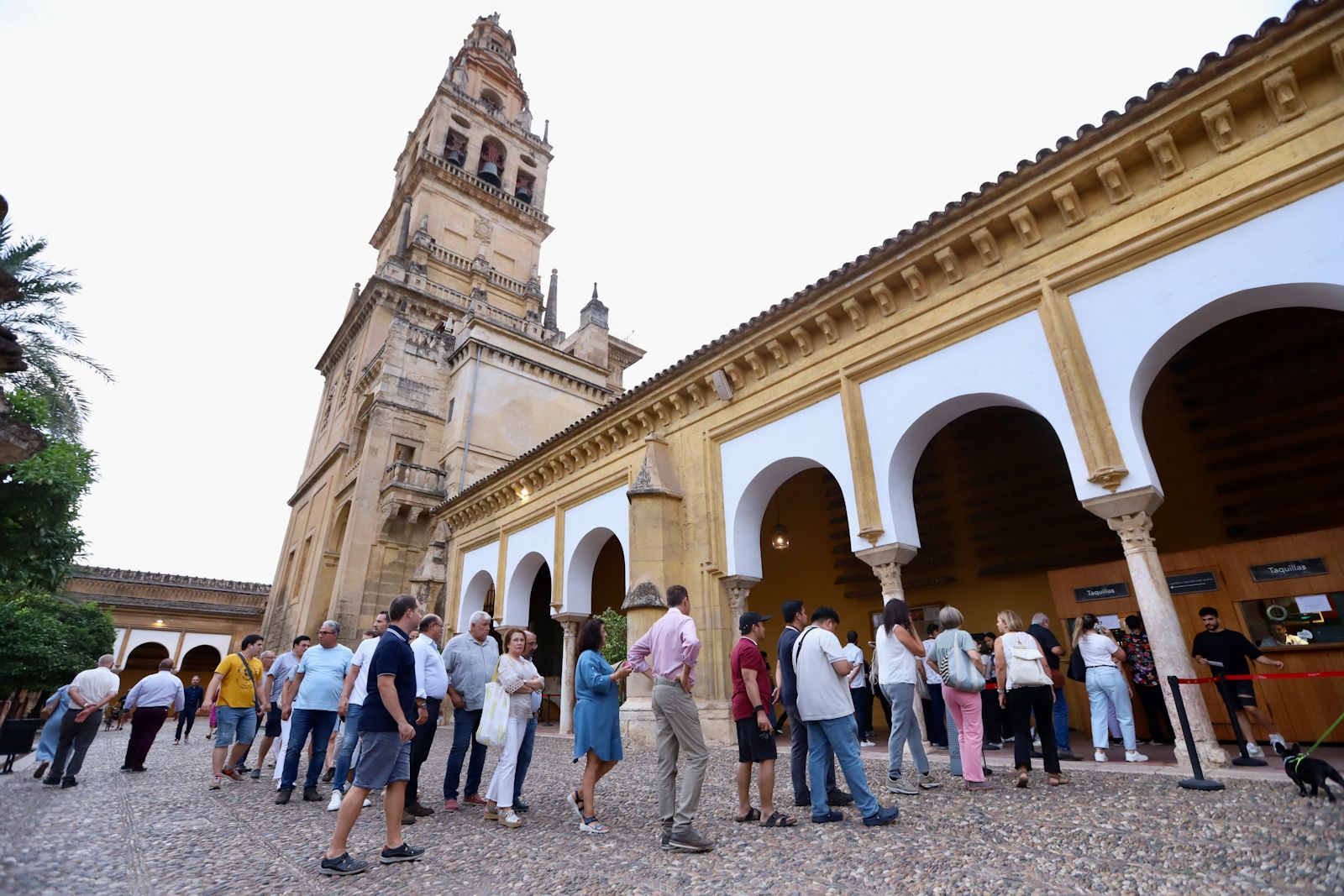 Córdoba abraza el patrimonio en una noche para celebrar la cultura