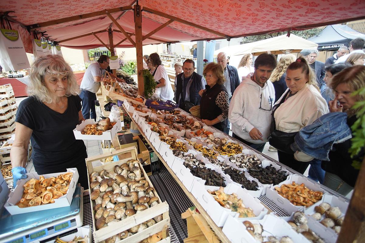 Un punt de venda de bolets durant la Fira del Bolet de Llagostera, l'any passat.