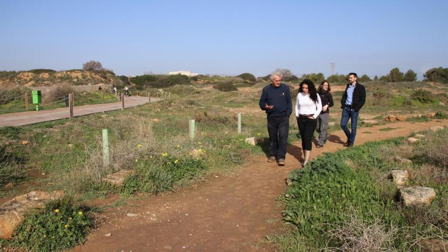 Siembran 200 sabinas y 100 acebuches en es Carnatge