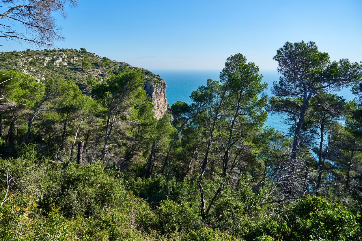 La reserva natural dell’Adelasia es un área protegida de gran valor ecológico.