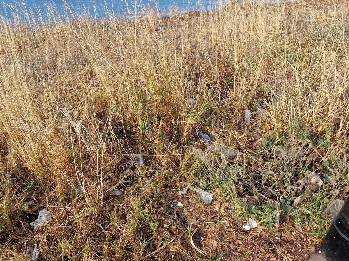 La basura se acumula en algunas zonas de la microrreserva