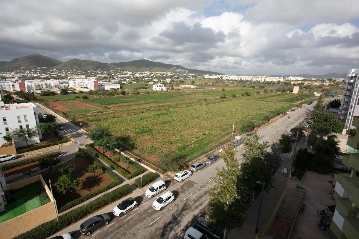 Los terrenos de la zona de Can Raspalls, en Platja d'en Bossa, donde se proyectan construir las viviendas para los vecinos de los Don Pepe desalojados.