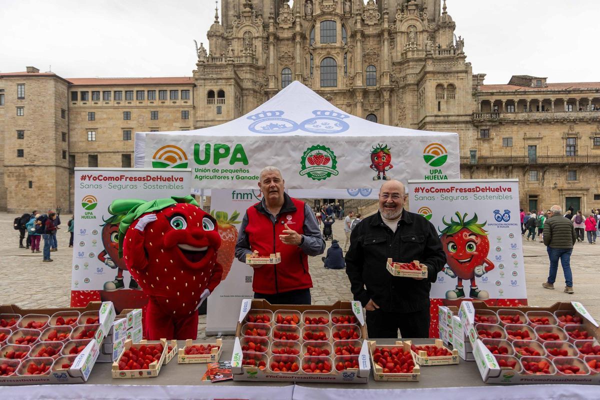 Reparten fresas de Huelva en la plaza del Obradoiro para promover su "calidad y garantía"