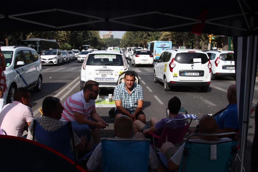 Los taxistas, acampados en el Paseo del Parque en una acción similar a las del Paseo de la Castellana de Madrid o la Gran Vía de Barcelona