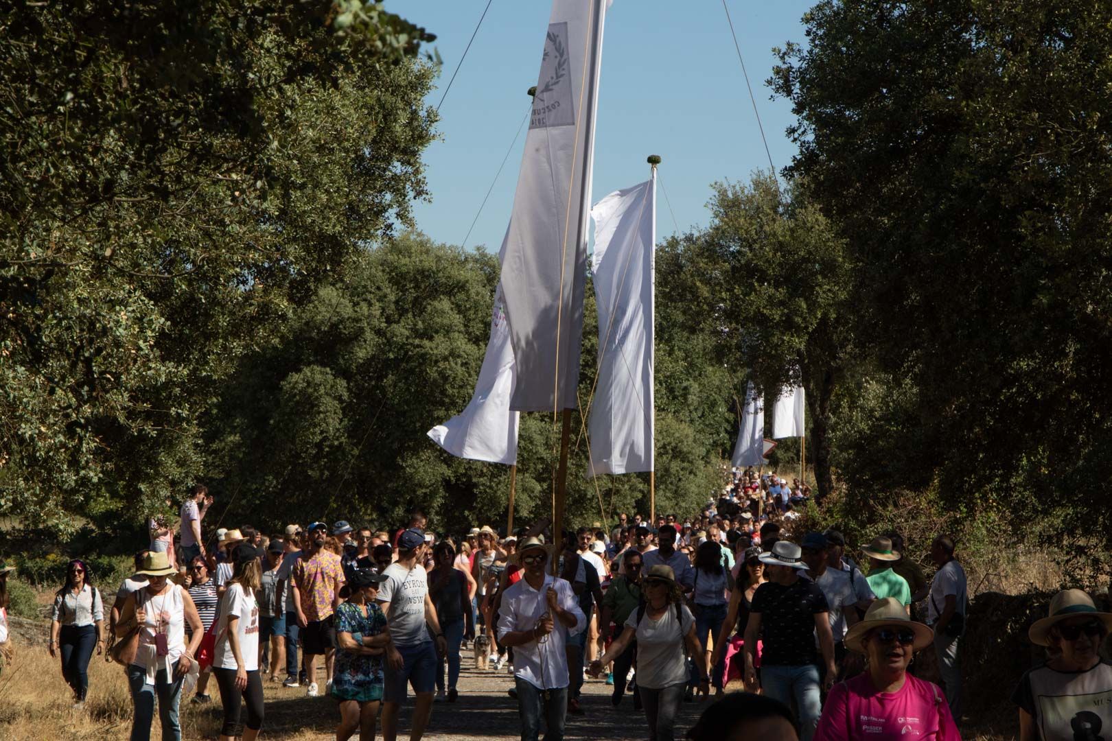 Romería de los pendones de Fariza