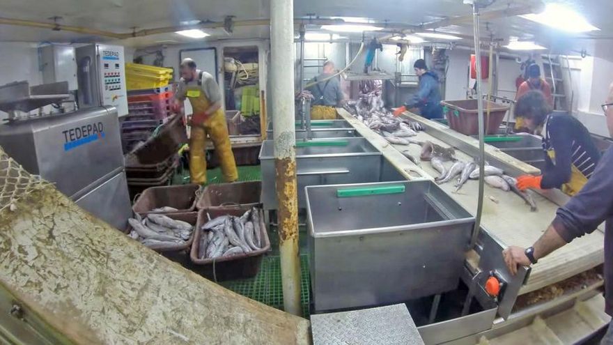 La flota de Vigo clasificará las vísceras de pescado a bordo para sacarles más partido