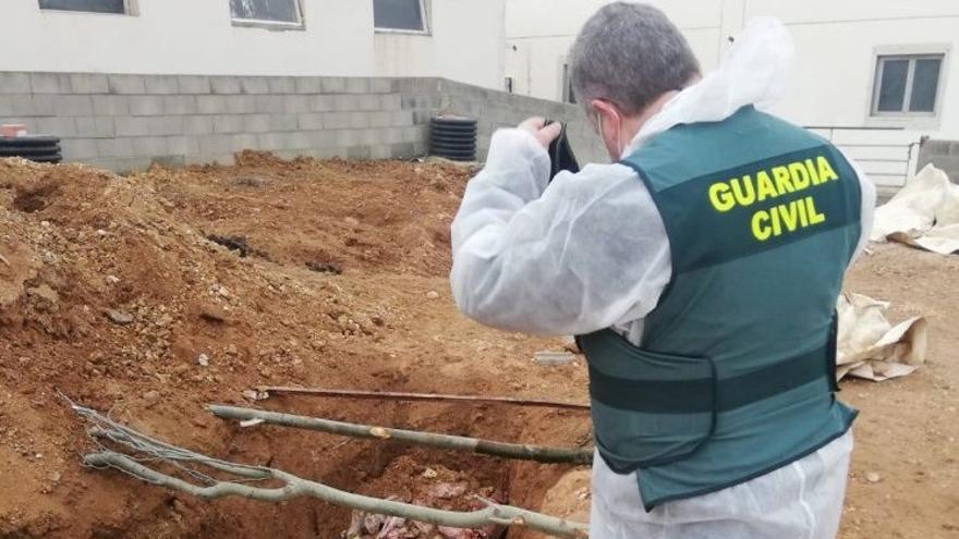 Un agente de la Guardia Civil fotografía la fosa localizada en Soria.