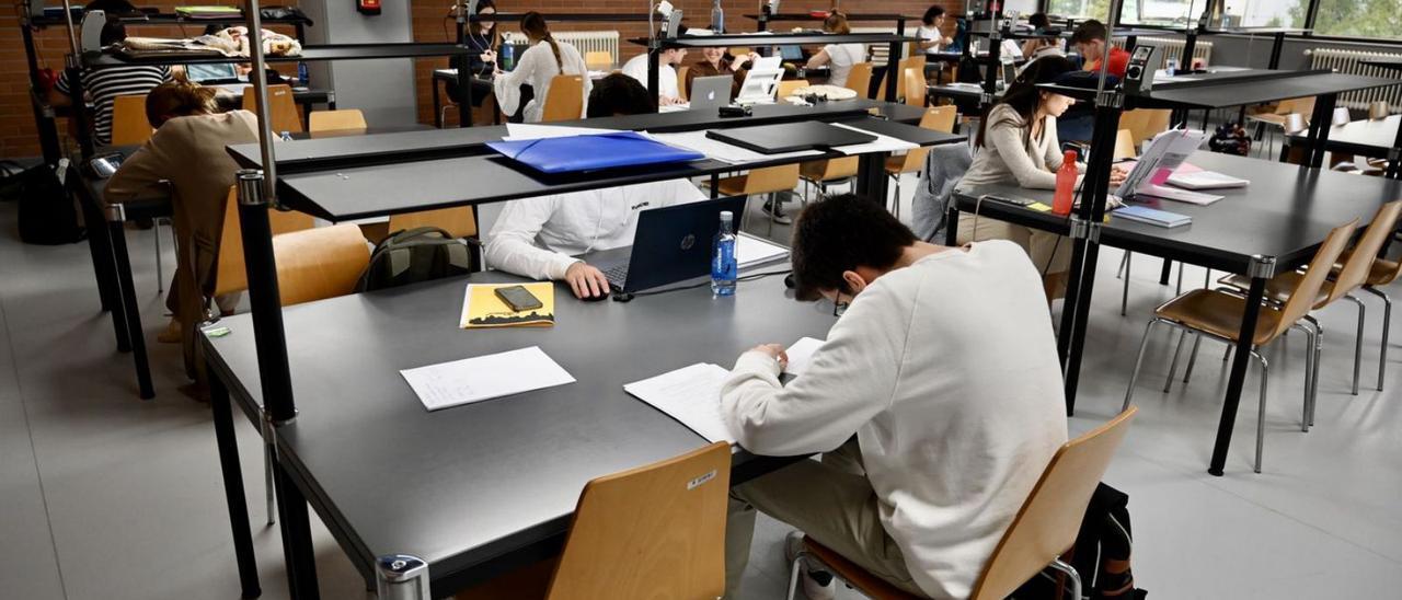 Estudiantes repasan sus apuntes ayer en la biblioteca del campus.