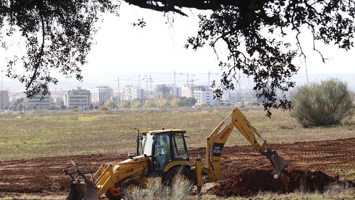 Comienzan las obras del parque periurbano del Patriarca
