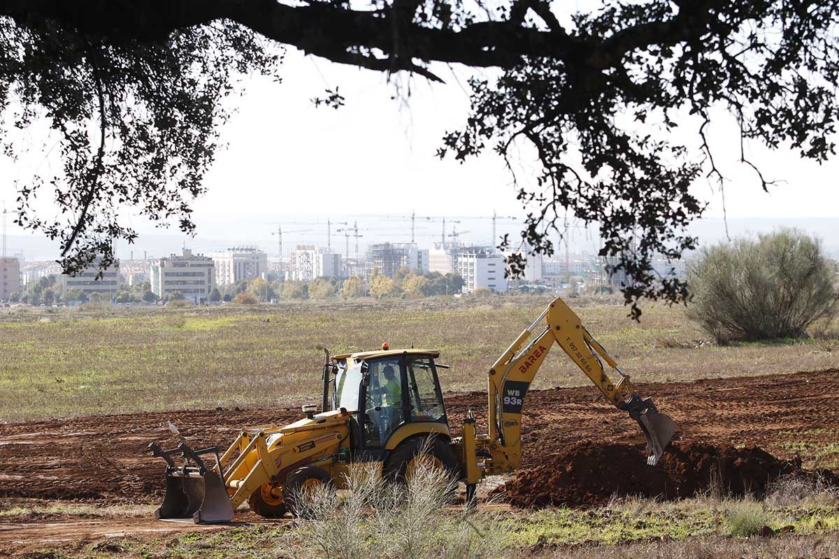 Comienzan las obras del parque del Patriarca