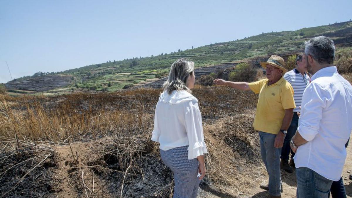 La consejera y los alcaldes departen con un agricultor afectado. | | E.D.