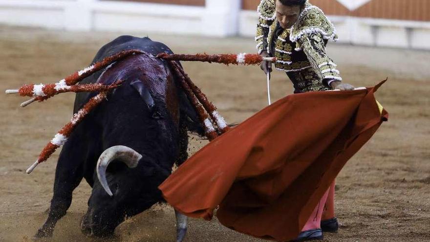 Natural ayudado de Antonio Ferrera al primero de su lote de El Freixo en El Bibio.