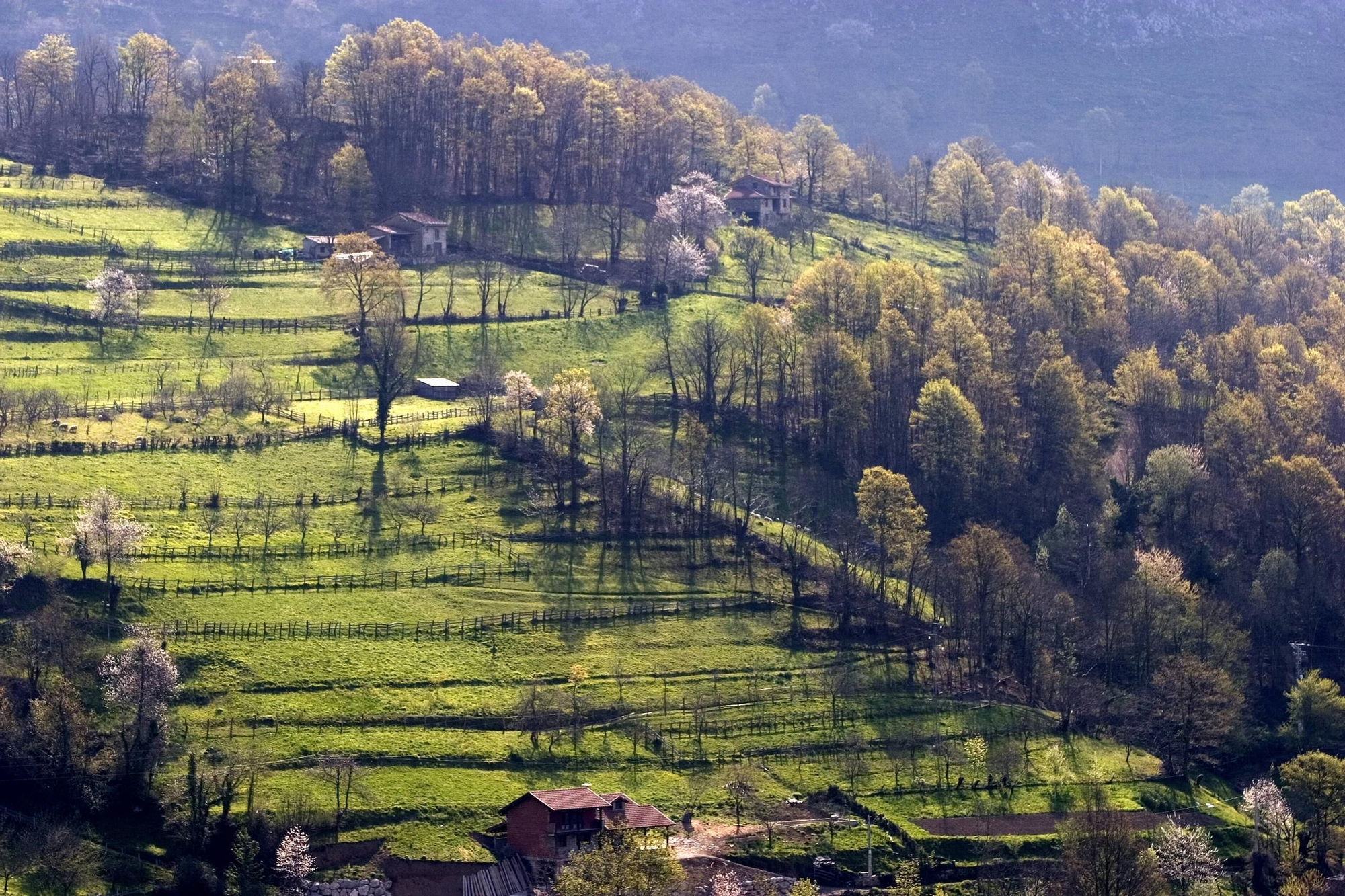 Rincones de Laviana: así es el concejo del Alto Nalón, el punto de encuentro entre la Asturias industrial y el paraíso natural