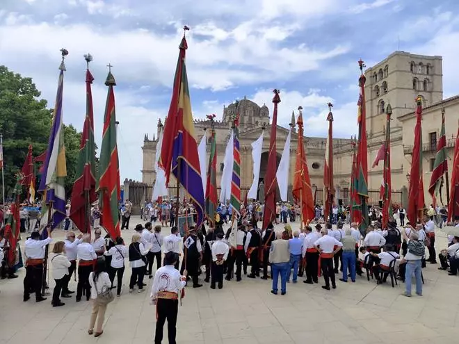 GALERÍA | Desfile de pendones en las calles y el centro de Zamora