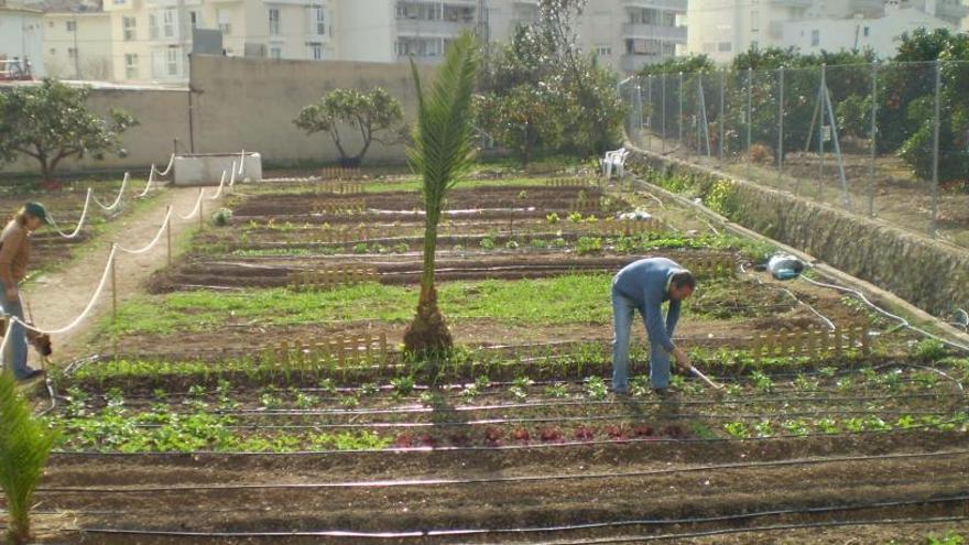 Uno de los huertos urbanos que ya existen en otros municipios de la comarca.