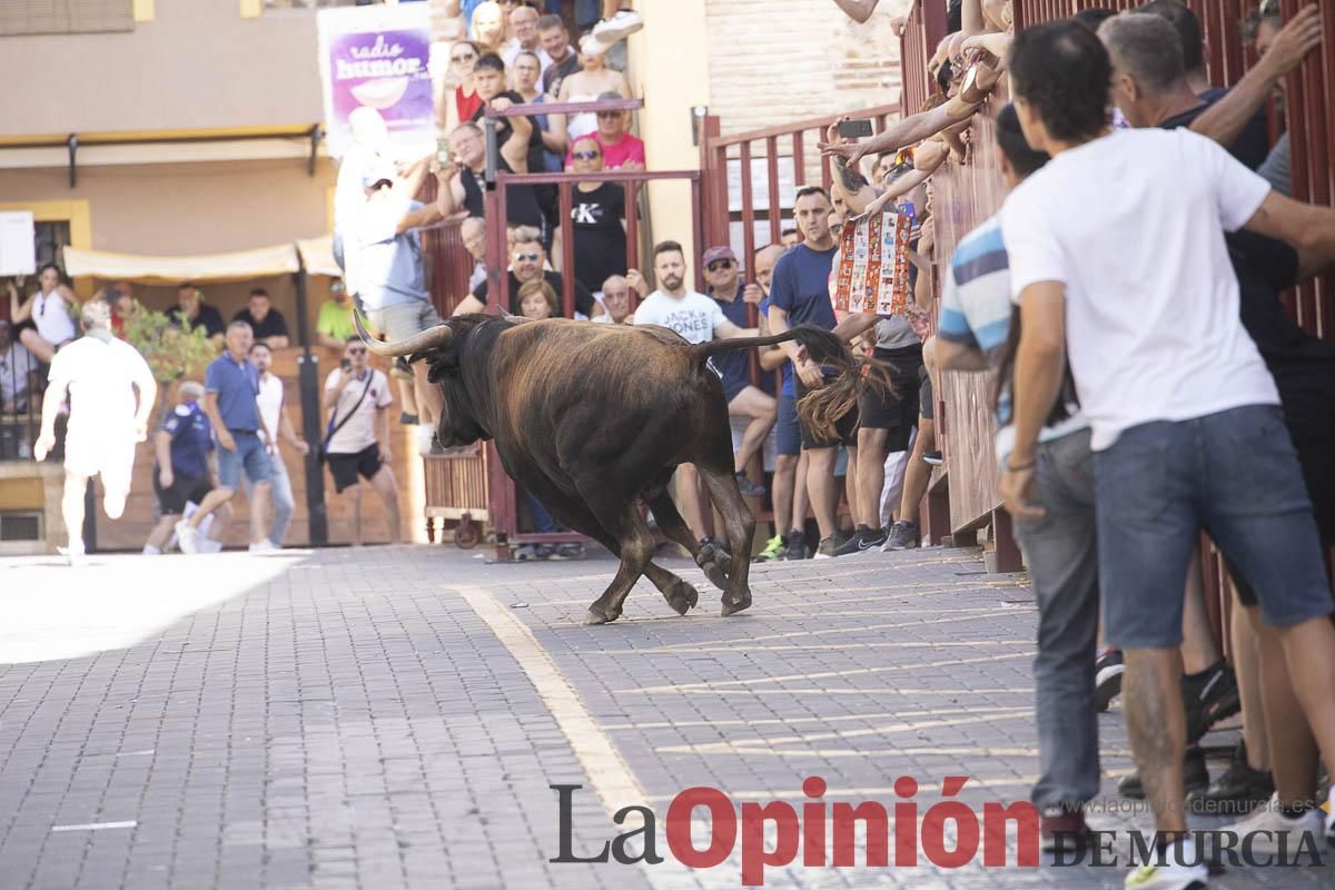 Tercer encierro de las Fiestas de Moratalla