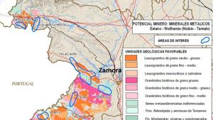 Mapa del potencial minero en Zamora de metales como el estaño o el wolframio.