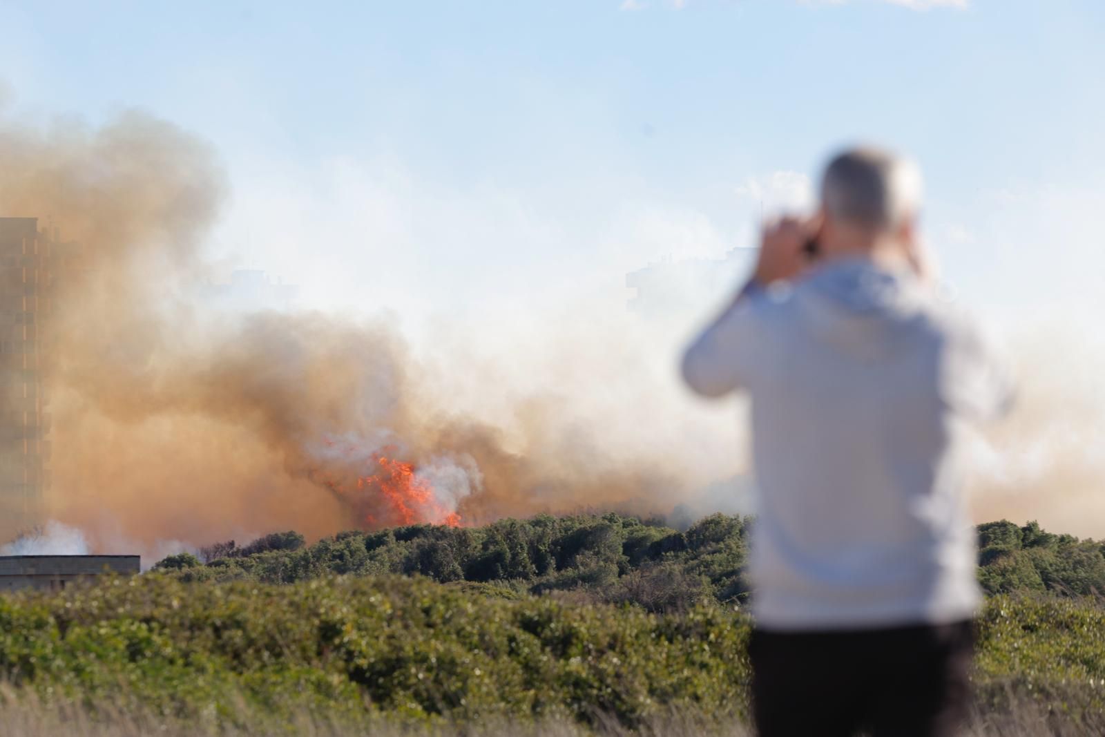 Declarado un incendio en el Saler