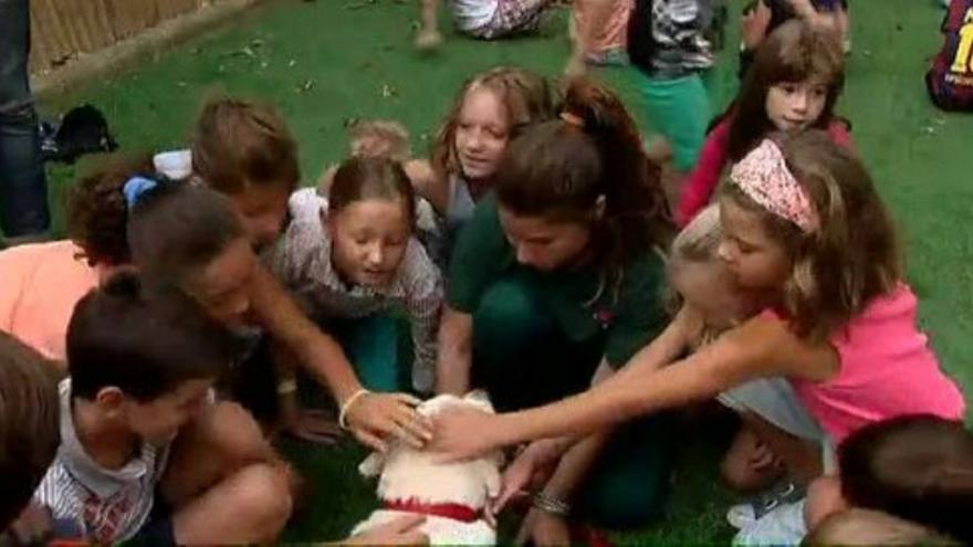 Cinco perros ayudan a los más pequeños en su primer día de colegio