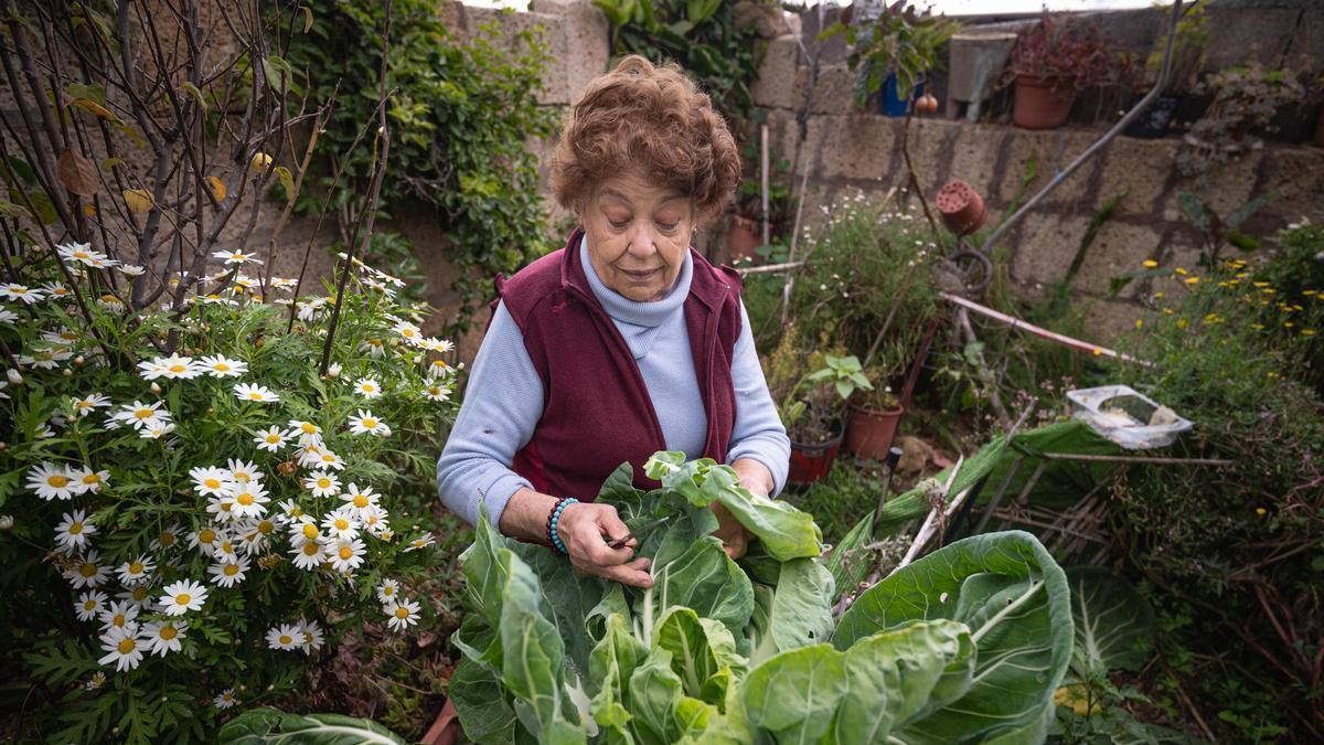 Barbara Rodríguez recolecta su propia verdura para elaborar un potaje