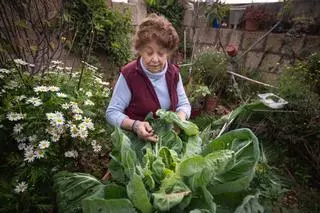 Barbara Rodríguez recolecta su propia verdura para elaborar un potaje