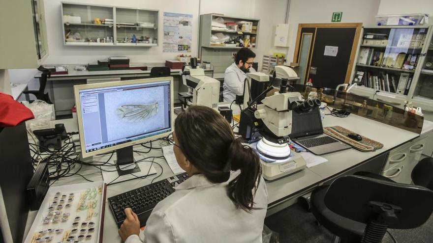 Investigadores en el Parque Científico de Alicante