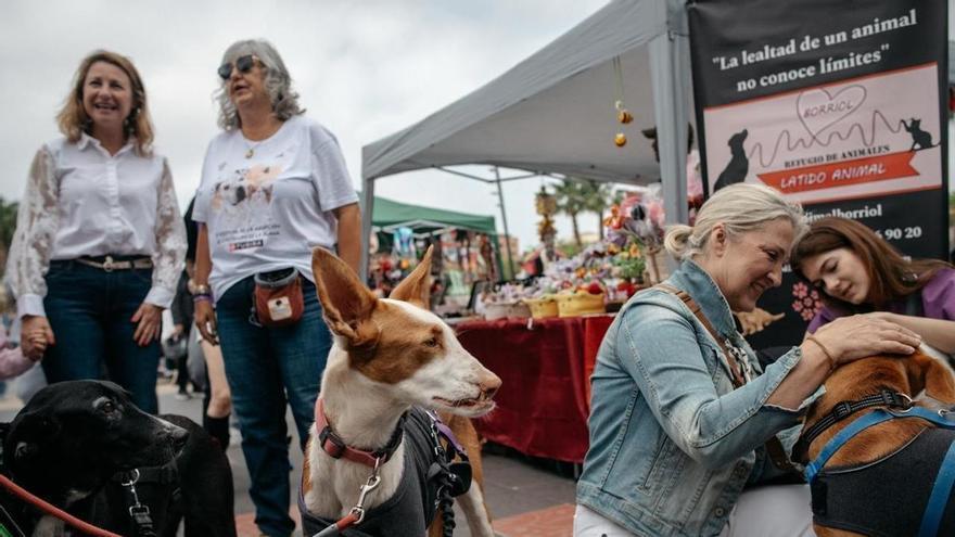 Castellón acoge con gran participación la primera jornada del XI Festival de la Adopción y el VII JOC Fest