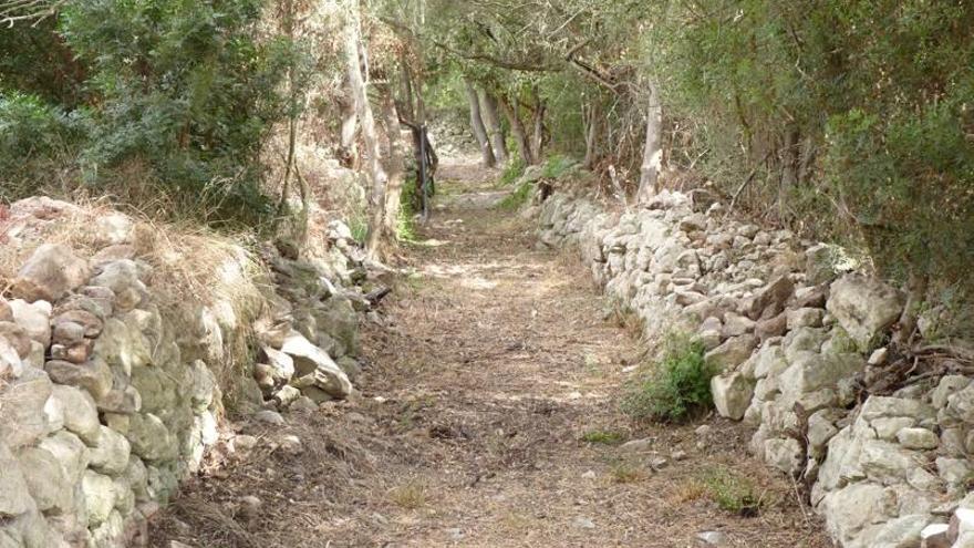 Imagen del Camí Vell de Son Fornés.