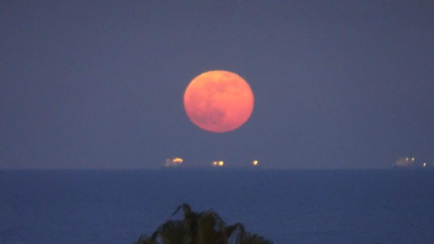 Luna fría: Así se vio la última luna llena del año en Castellón