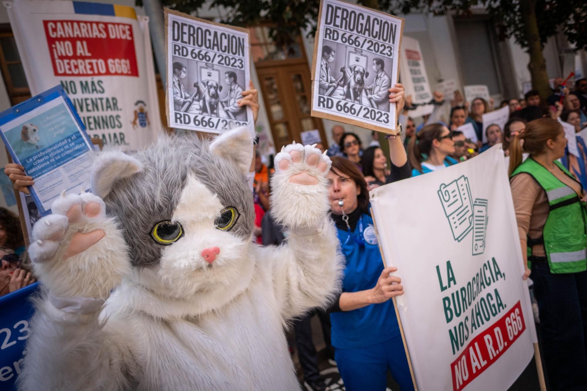Los veterinarios  de Tenerife se manifiestan contra el decreto que les impide suministrar antibióticos a las mascotas.