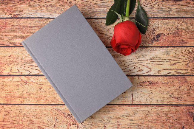 Novelas románticas, libros San Valentín, lectura, rosa