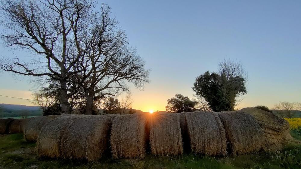 Sortida i cel ras a Gargallà (Montmajor).