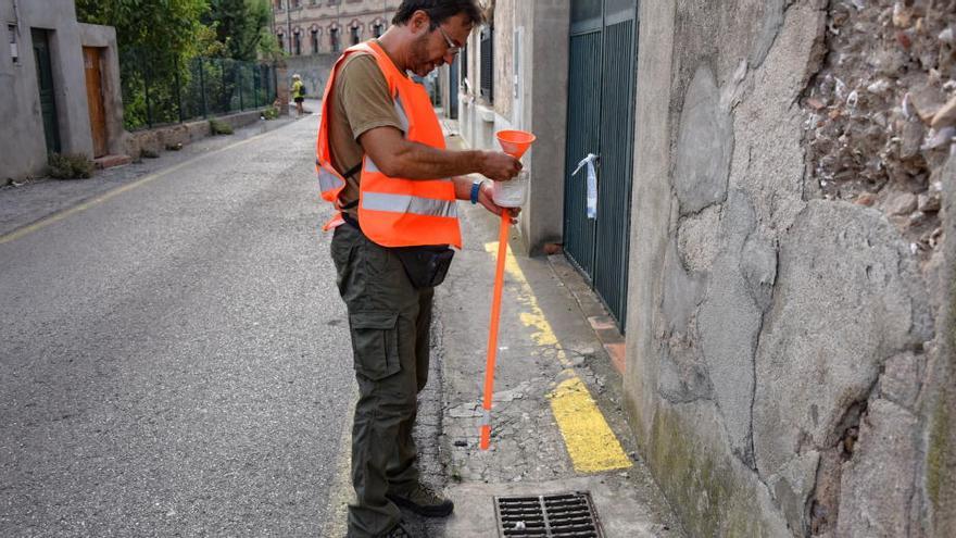 Un tècnic neteja un embornal per evitar la proliferació del mosquit tigre en una imatge d&#039;arxiu · Diari de Girona