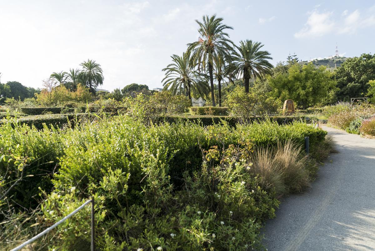 El nou pla Natura preveu crear 18,6 hectàrees més de verd per al 2023 El nou pla Natura preveu crear 18,6 hectàrees més de verd per al 2023